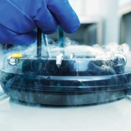 What Is Regenerative Medicine?